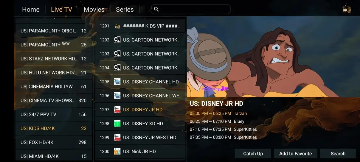 Organized live channels list with category sorting